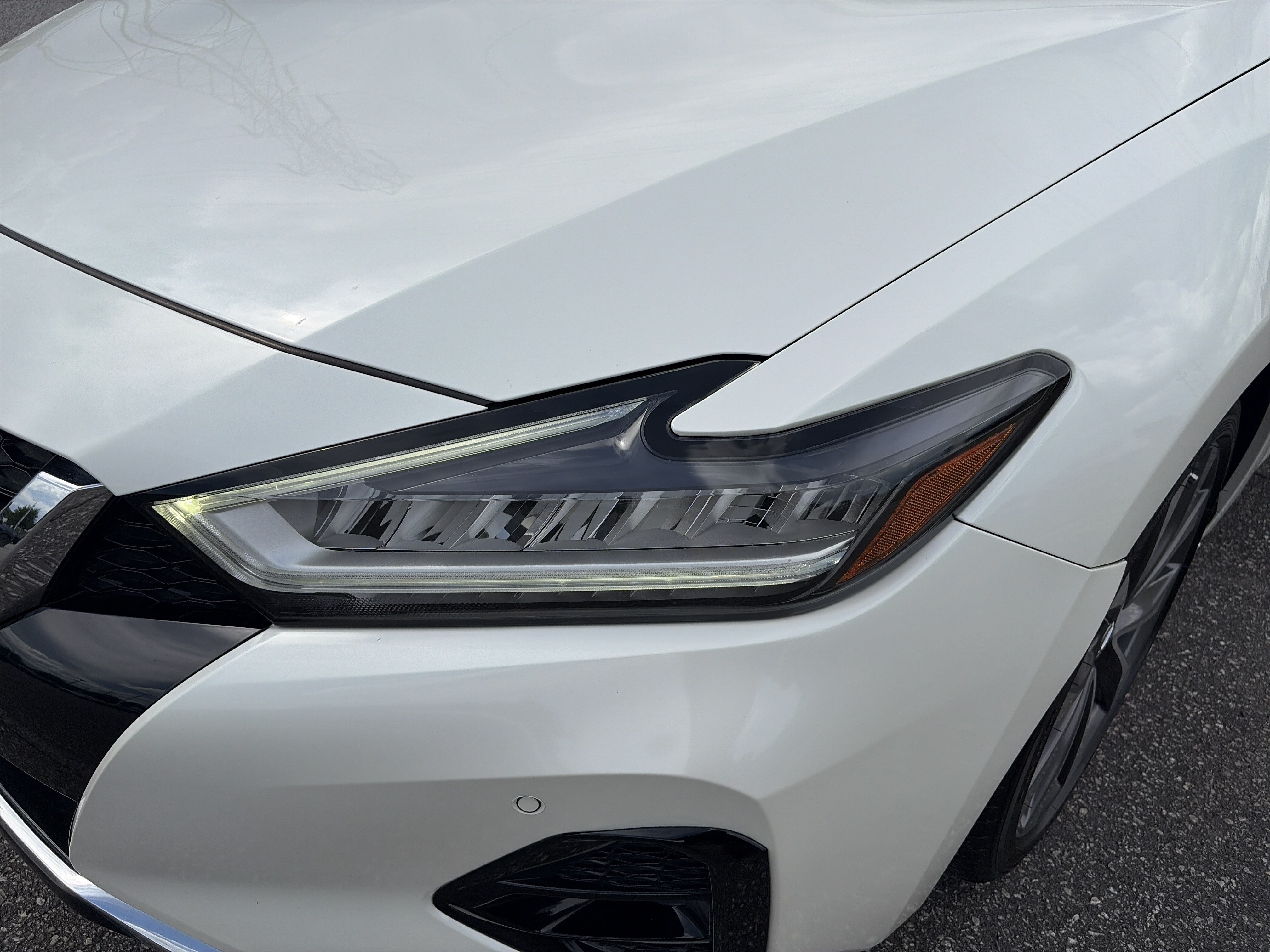 Used 2019 Nissan Maxima Platinum FWD image 6
