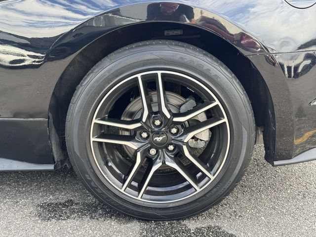 Used 2021 Ford Mustang Premium w/ Equipment Group 201A RWD image 9