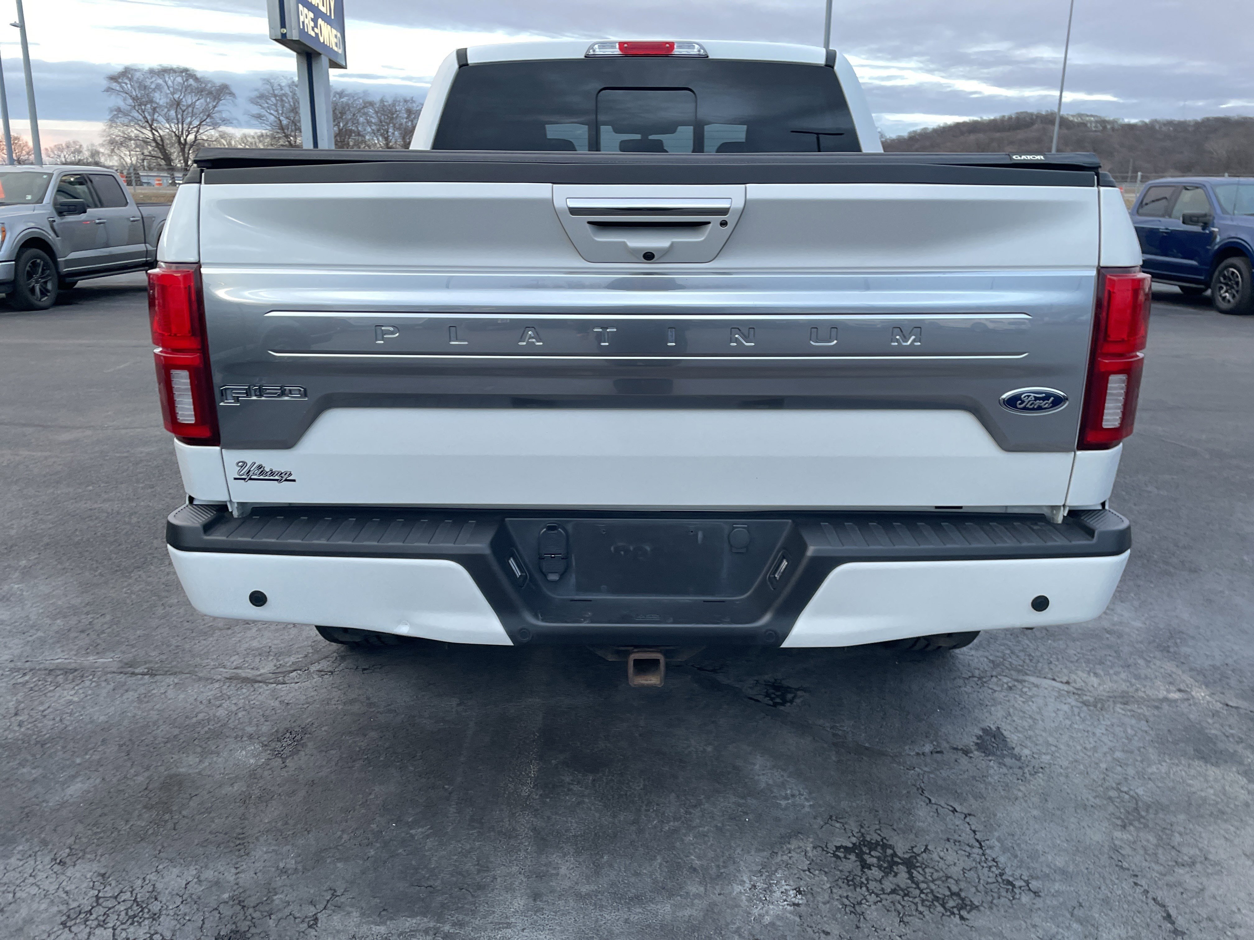 Certified 2020 Ford F150 Platinum w/ Equipment Group 701A Luxury image 5