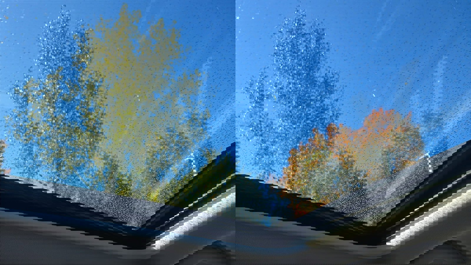 Certified 2022 Subaru Forester Limited image 24