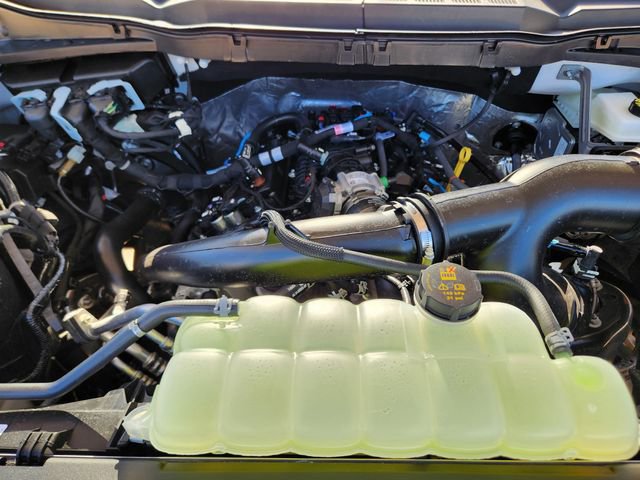 New 2026 Ford F150 STX w/ Equipment Group 200A image 31