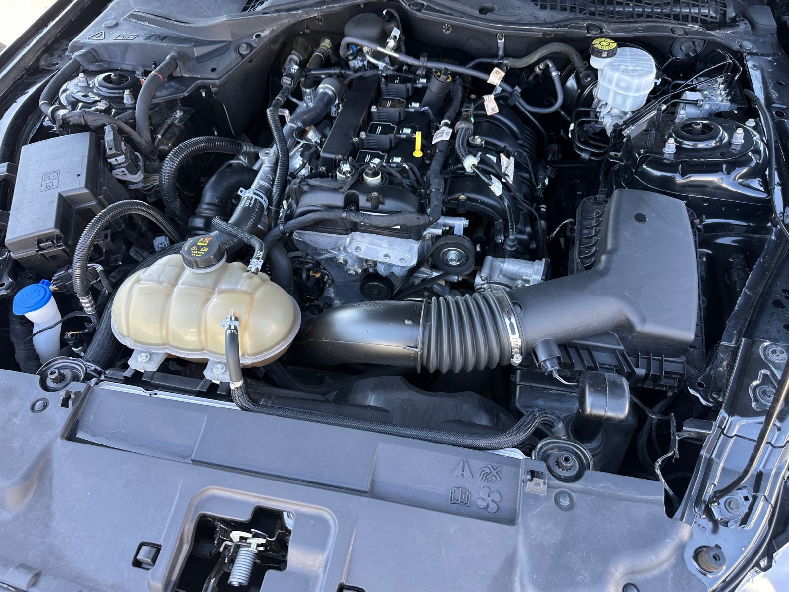 Used 2022 Ford Mustang Coupe RWD image 26