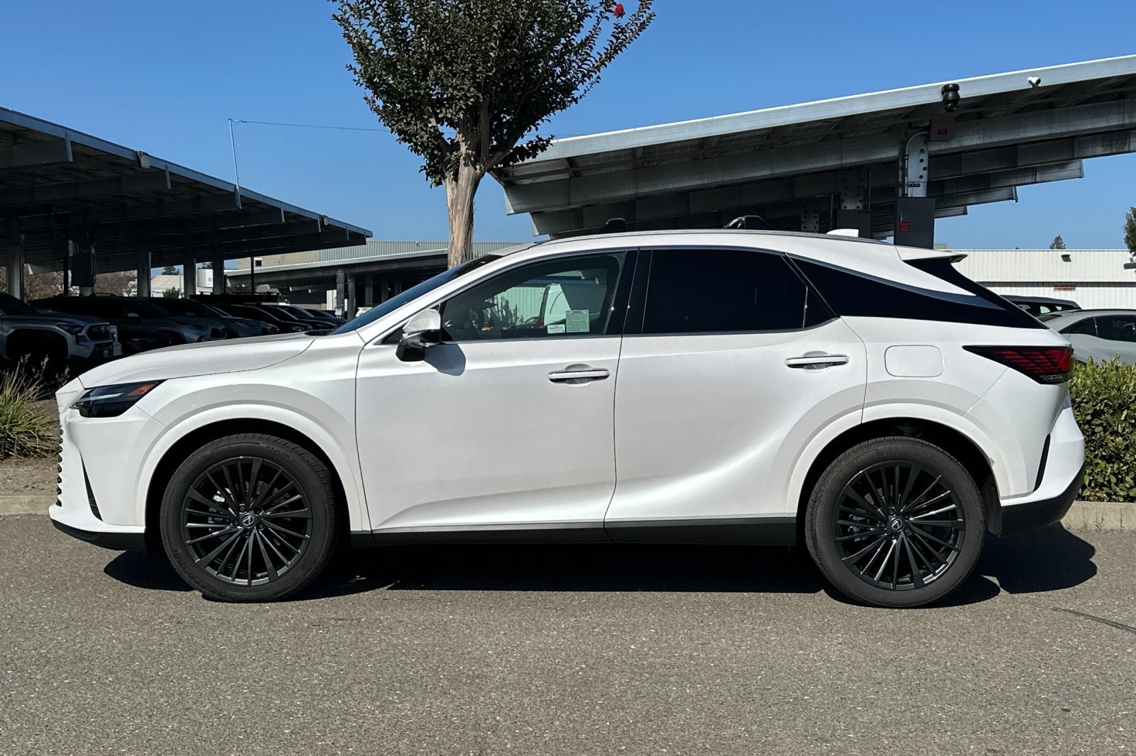Used 2025 Lexus RX 350h w/ Convenience Package AWD/4WD image 7