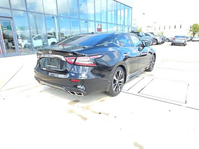 Used 2023 Nissan Maxima SV w/ Floor Mat Group image 4