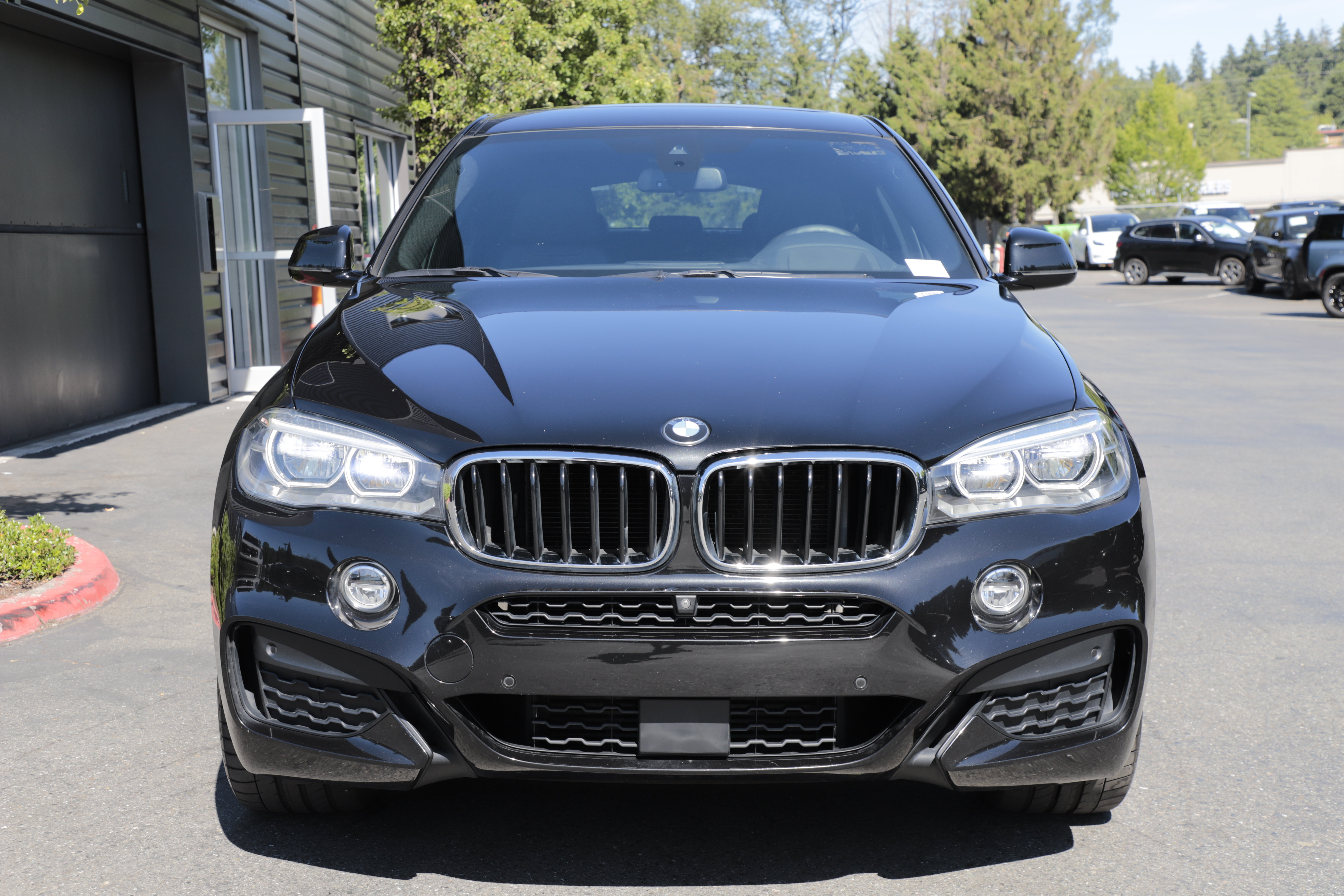 Used 2019 BMW X6 xDrive35i AWD/4WD image 4