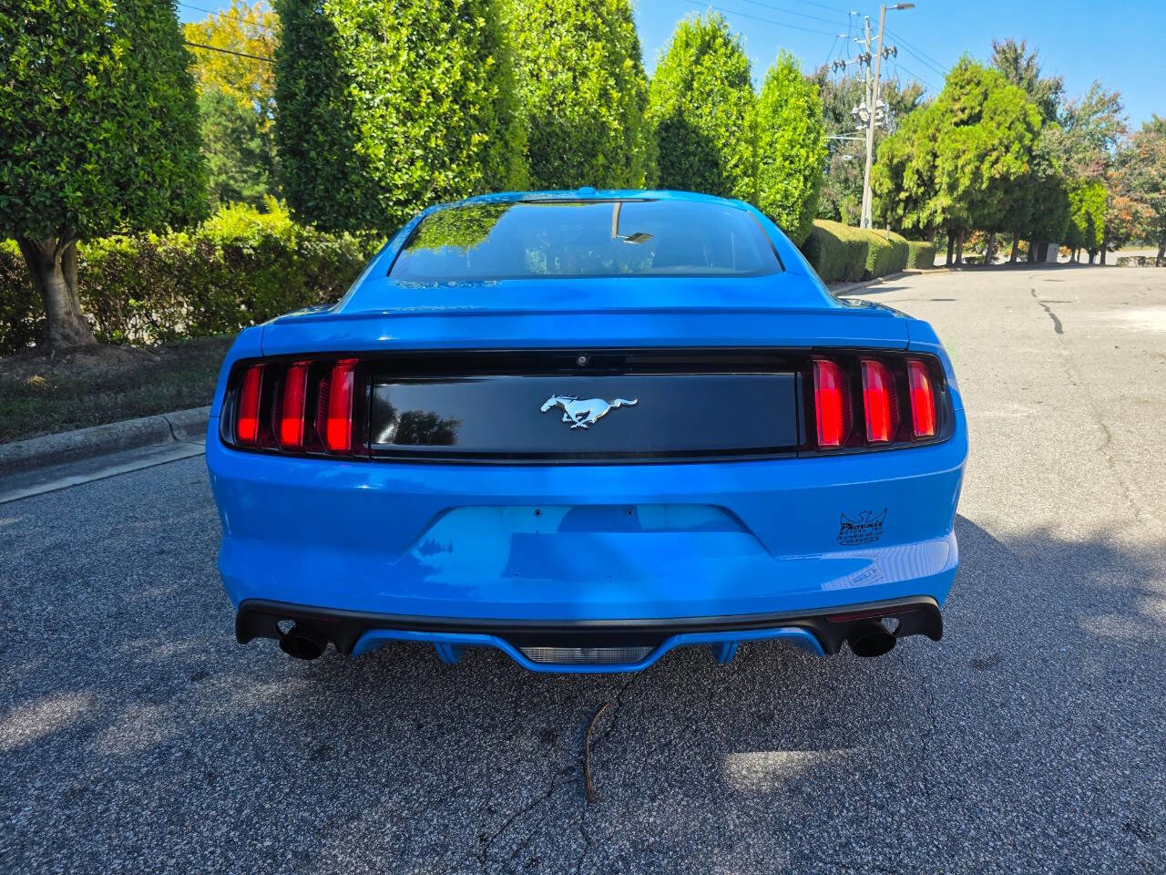 Used 2017 Ford Mustang Premium image 4