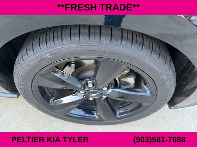 Used 2021 Ford Mustang GT Premium w/ Equipment Group 401A image 9