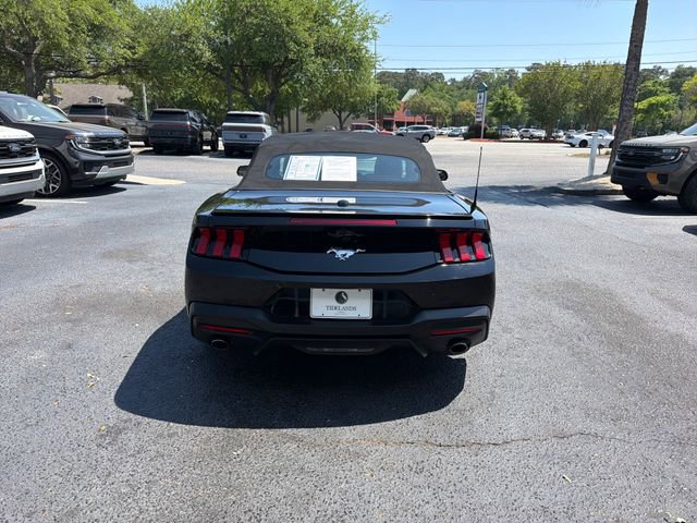 Used 2024 Ford Mustang Premium RWD image 6