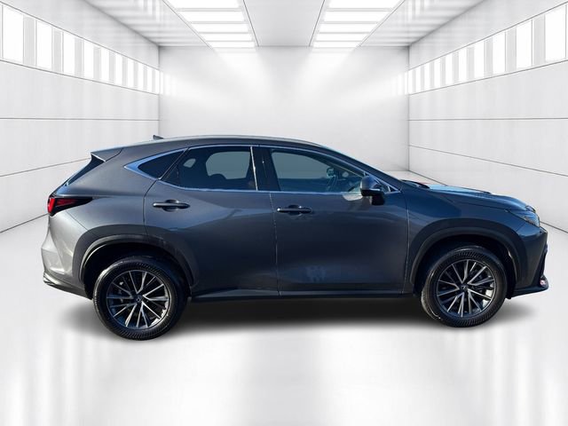 Certified 2023 Lexus NX 250 AWD image 4