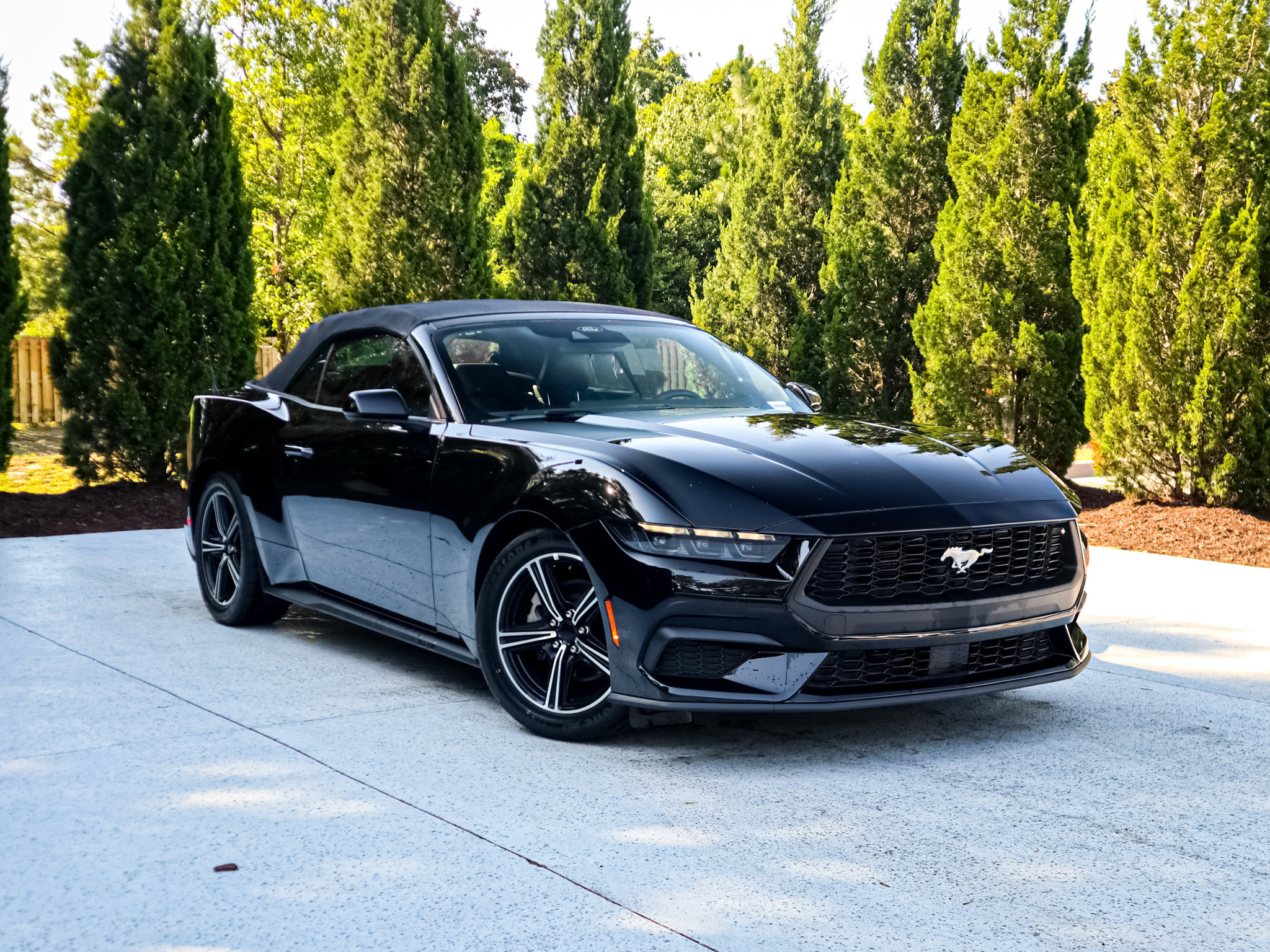 Used 2025 Ford Mustang Premium RWD image 2