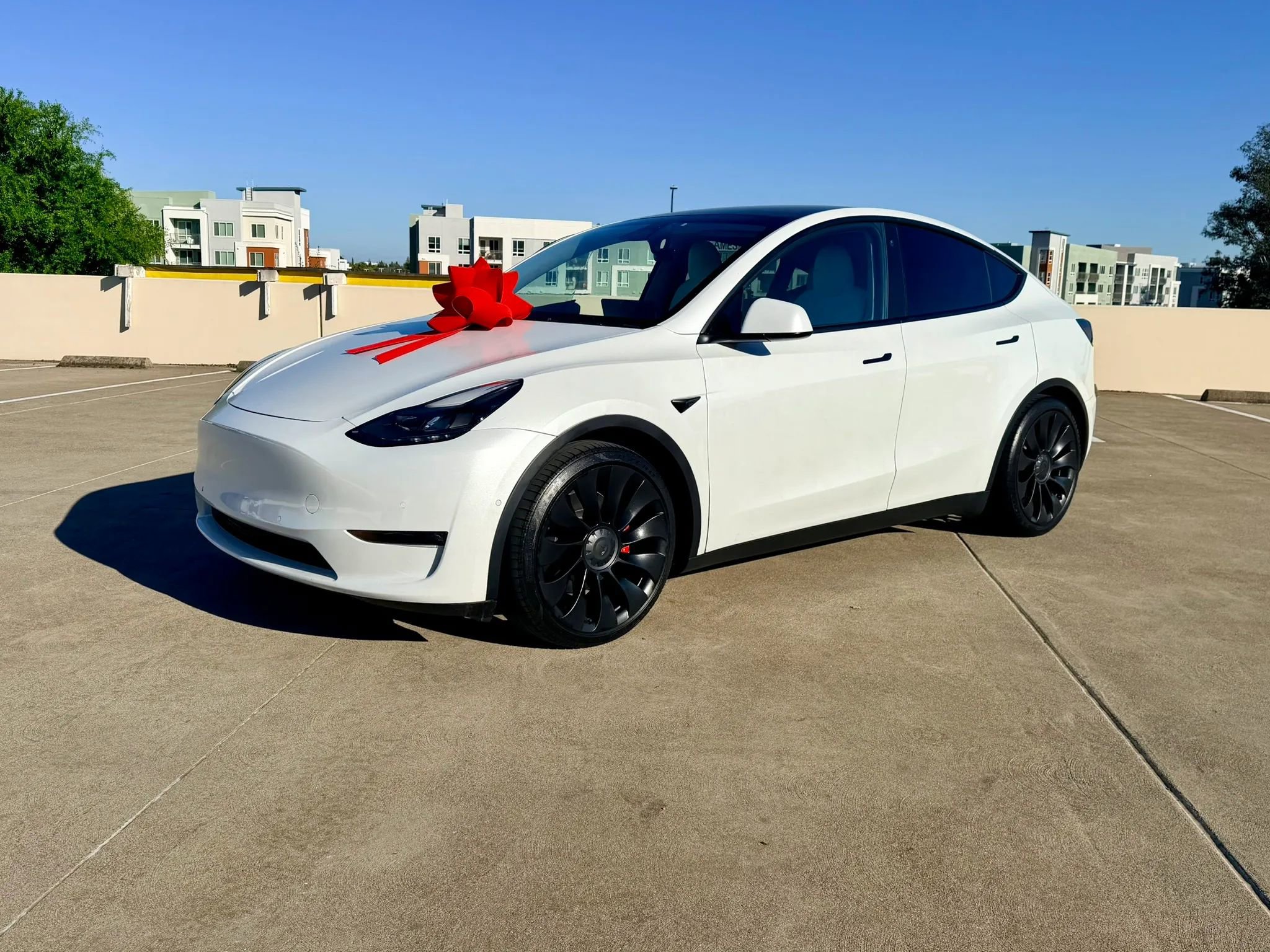 Used 2022 Tesla Model Y Performance image 3