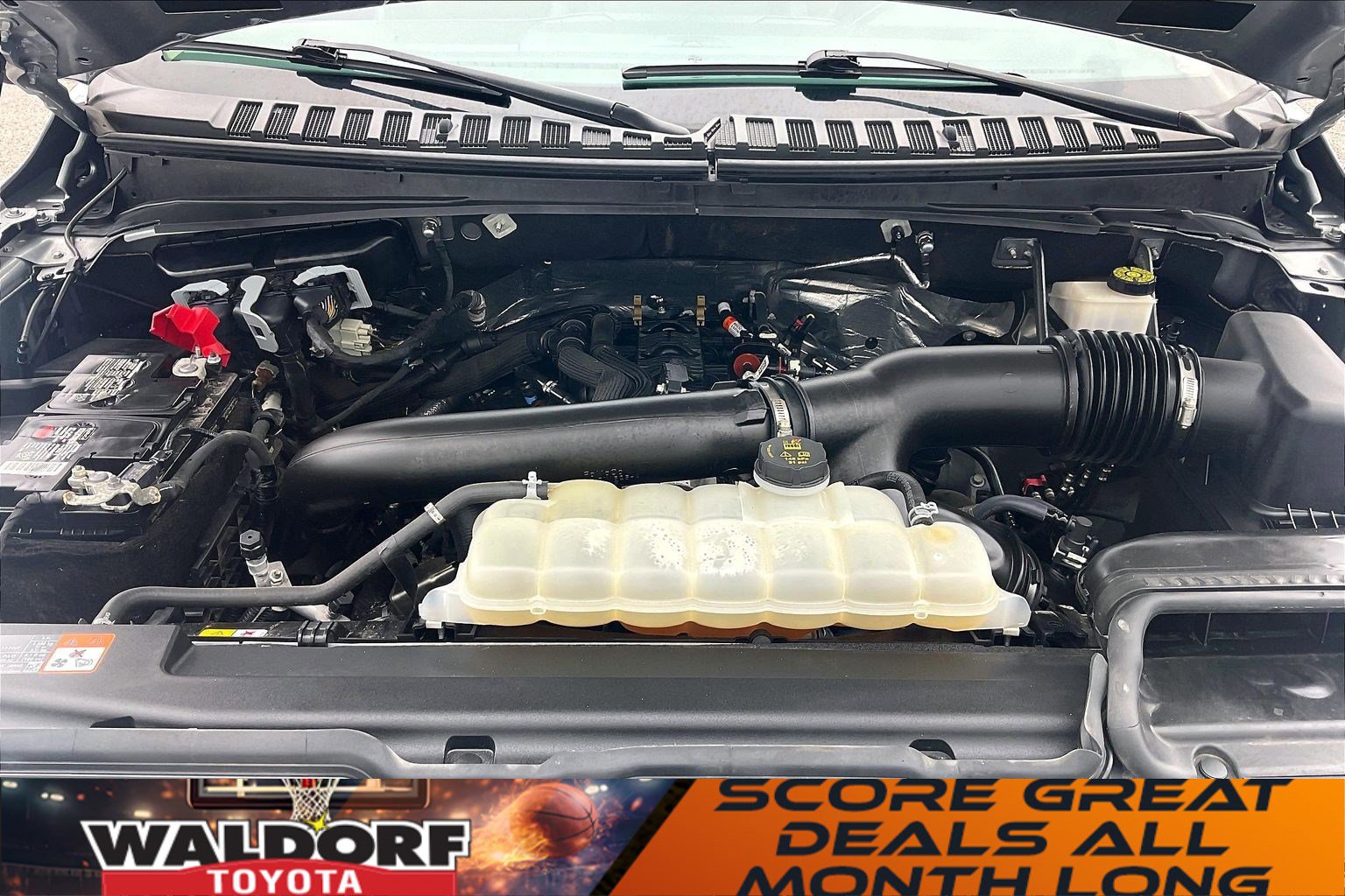 Used 2024 Ford Expedition XLT image 13