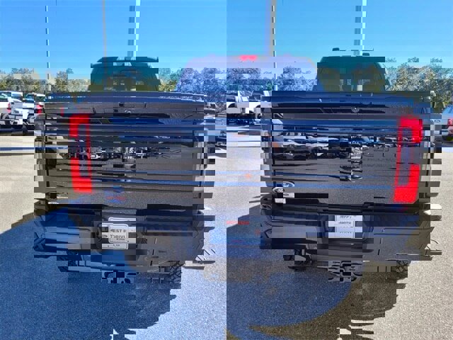 New 2026 Ford F250 Platinum image 9