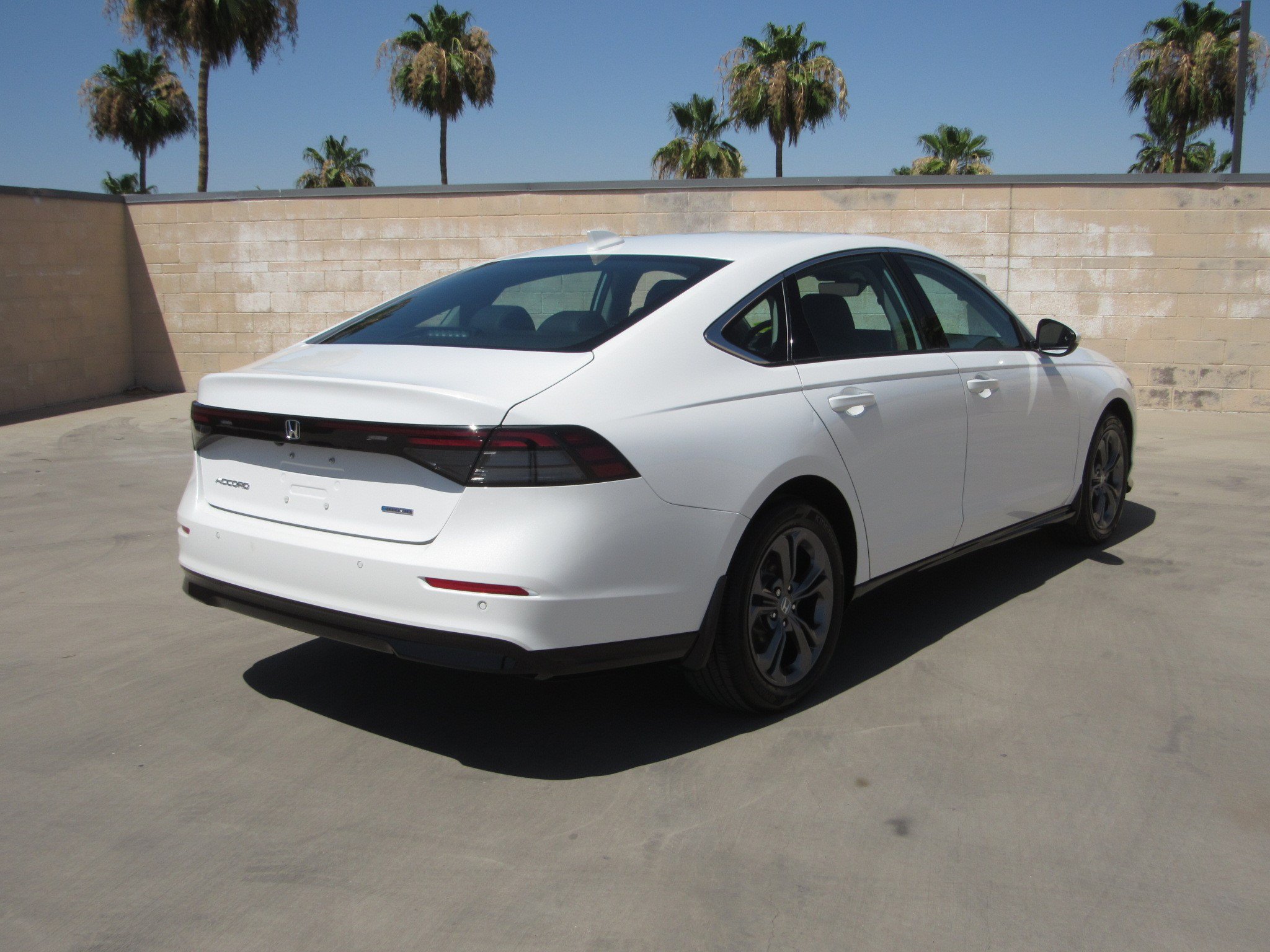 Certified 2025 Honda Accord EX-L image 5