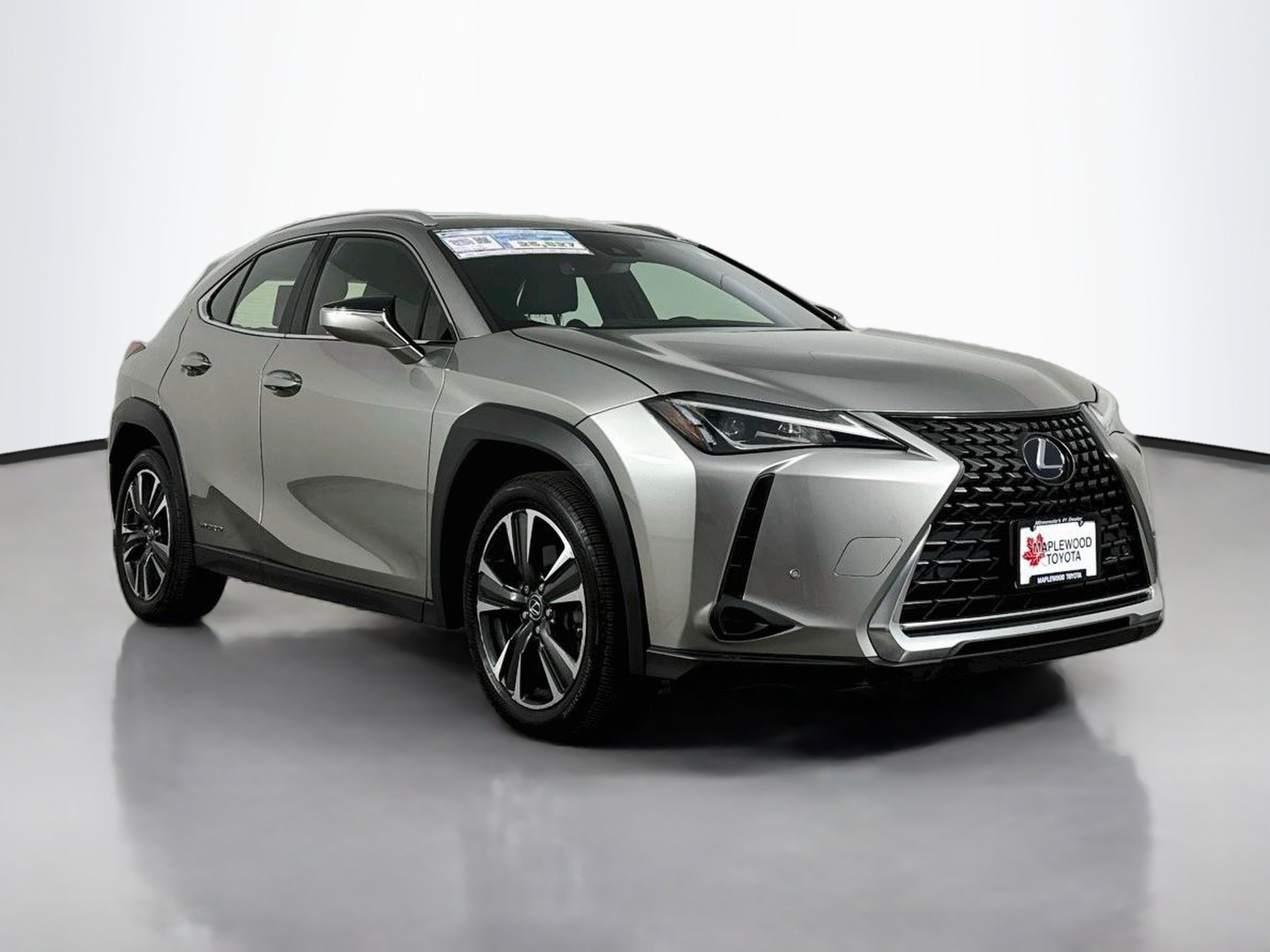 Used 2019 Lexus UX 250h w/ Premium Package AWD/4WD video 1