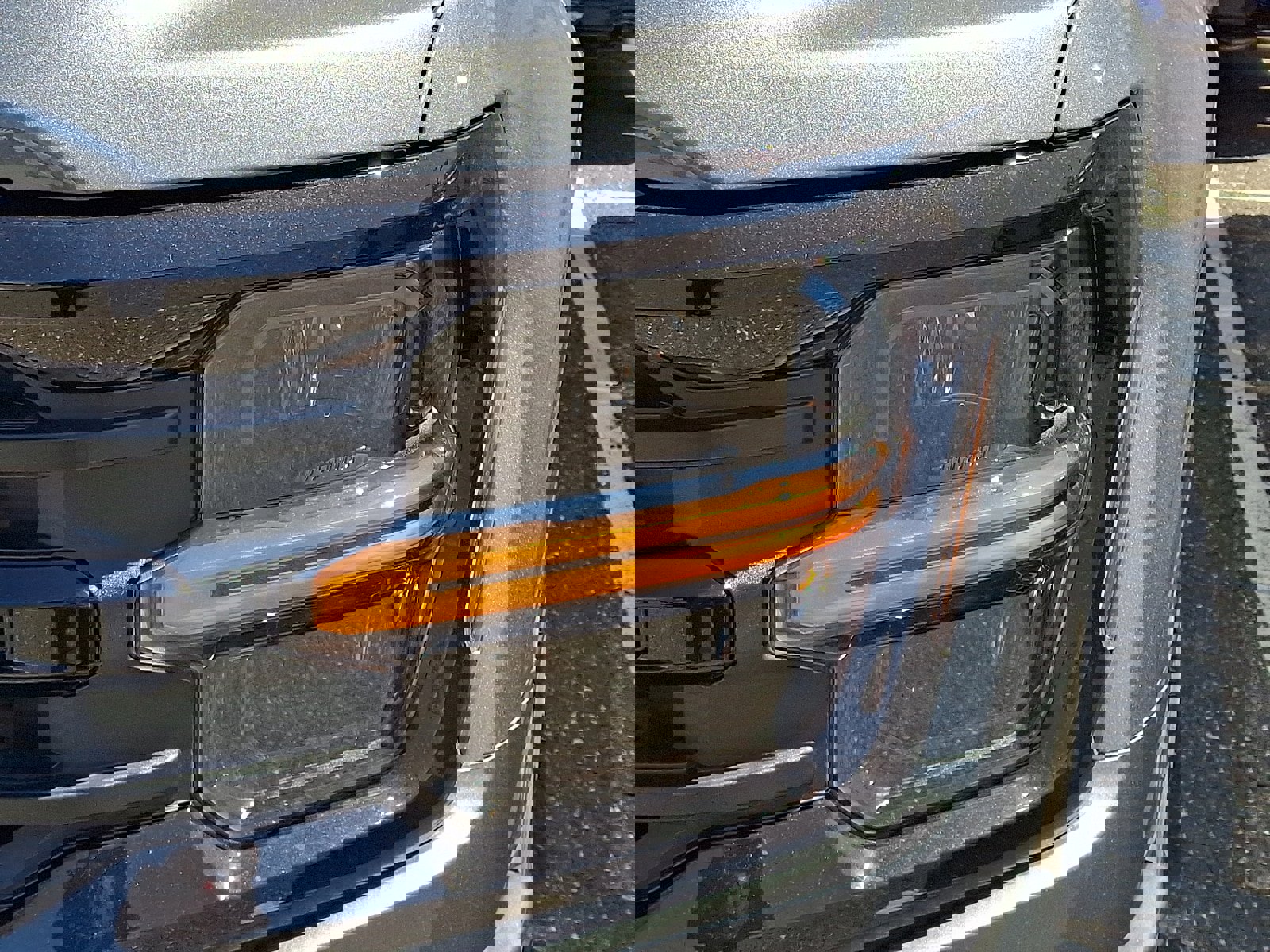 New 2026 Ford F150 XLT image 4