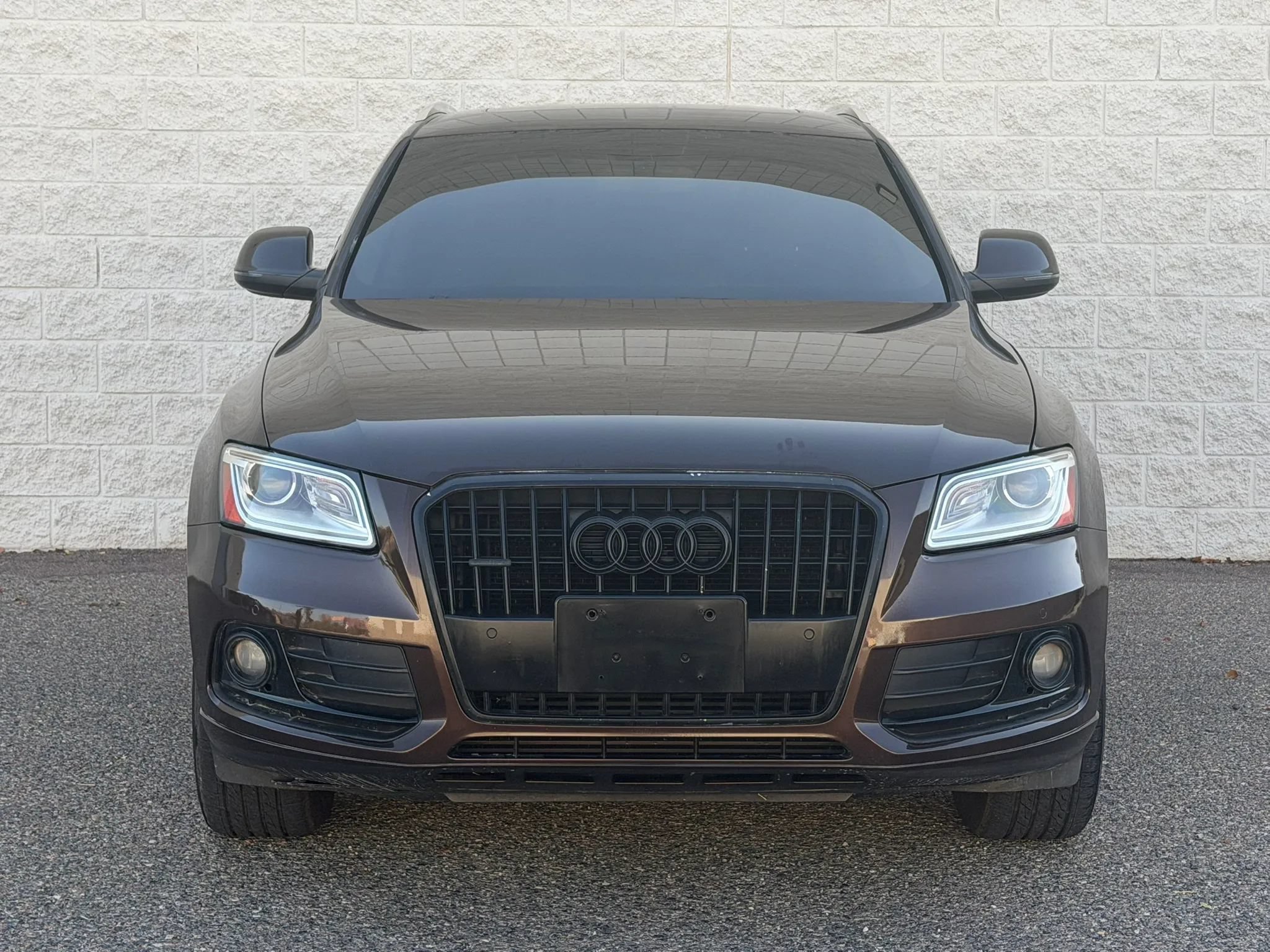 Used 2014 Audi Q5 TDI Premium Plus AWD/4WD image 2