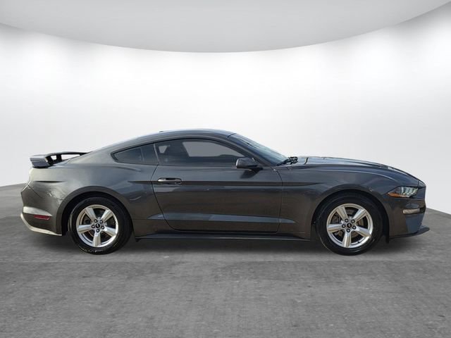 Used 2019 Ford Mustang EcoBoost image 3