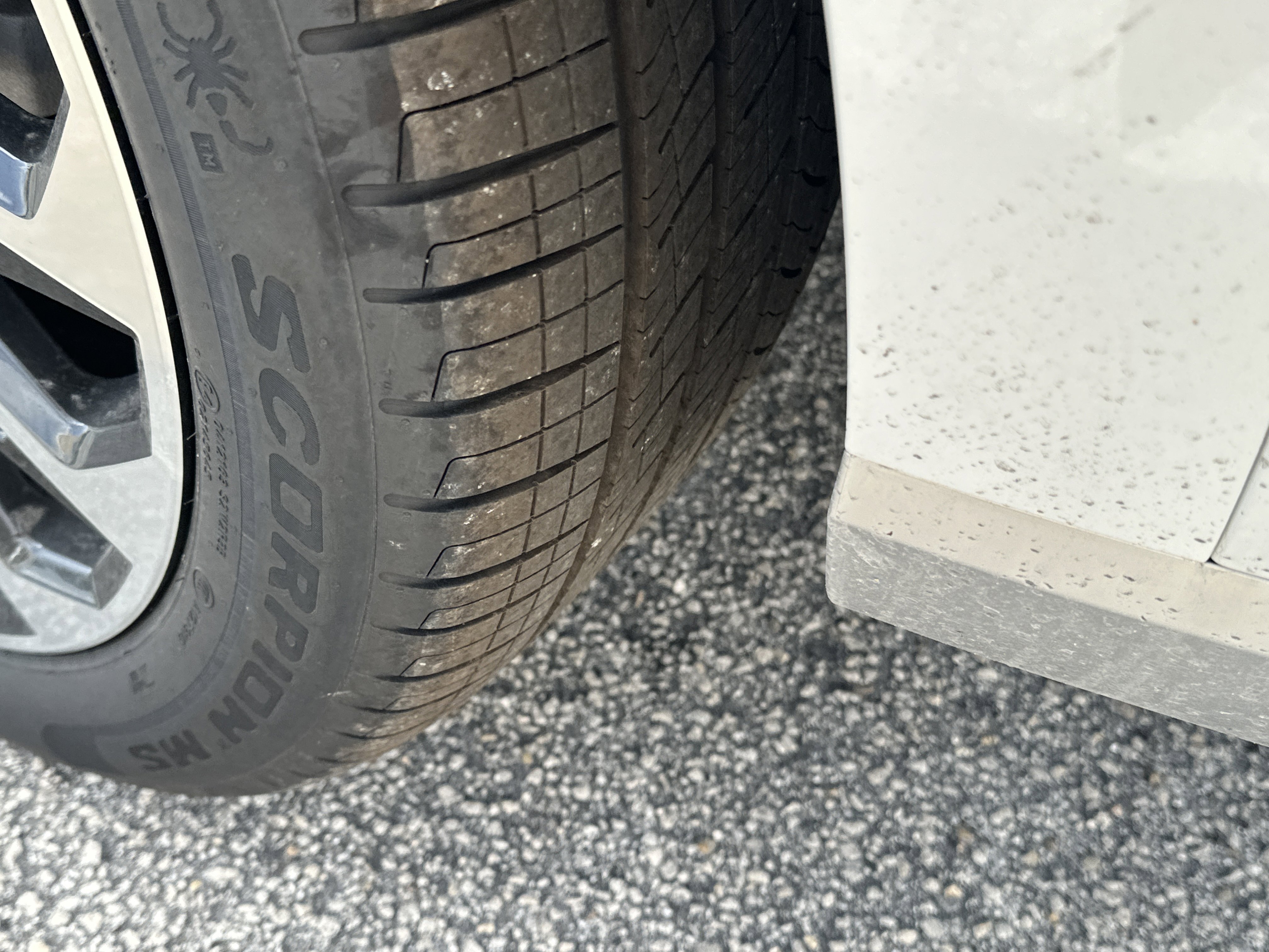 New 2026 Hyundai Palisade Calligraphy image 11