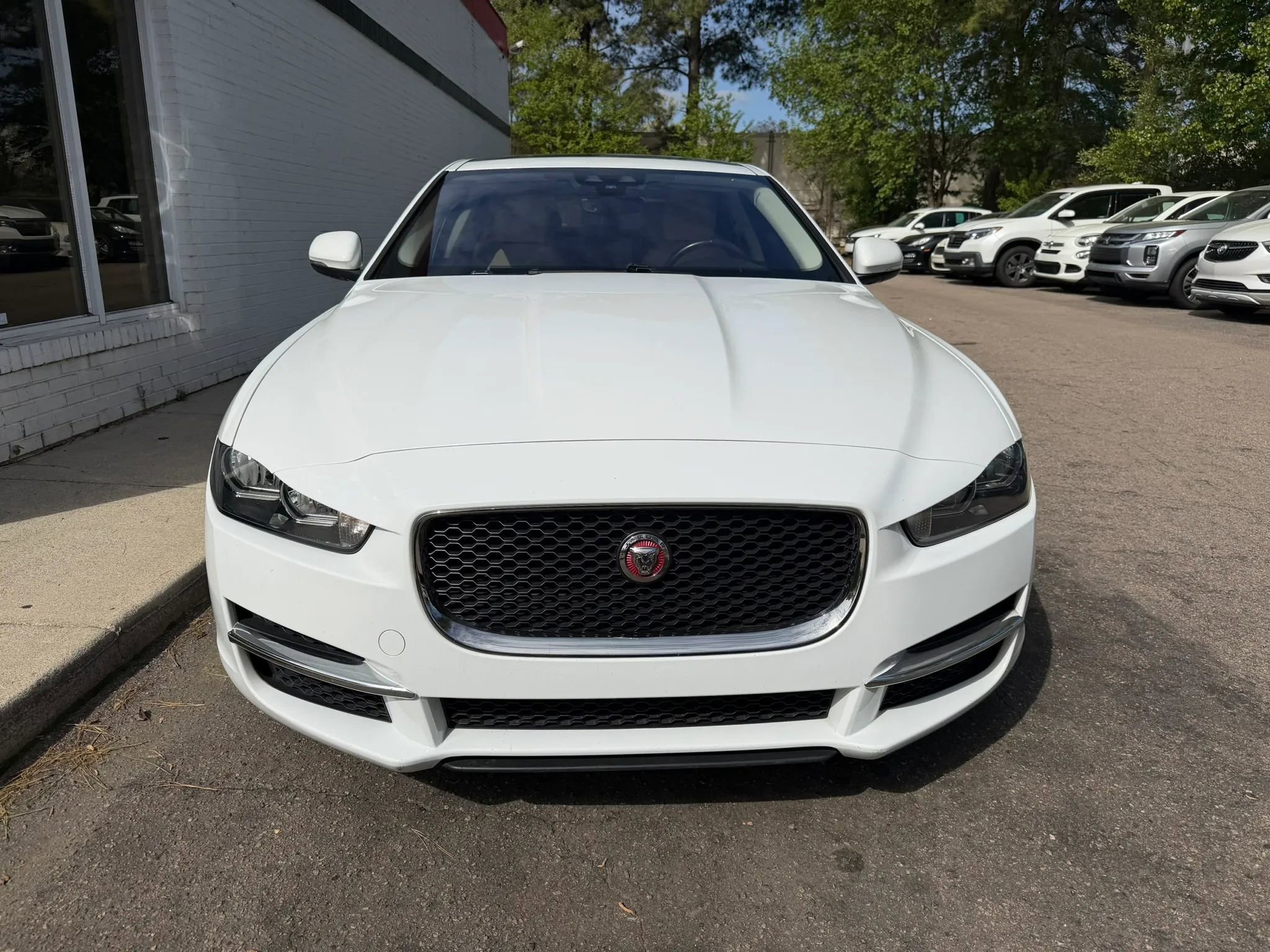 Used 2019 Jaguar XE Premium image 3