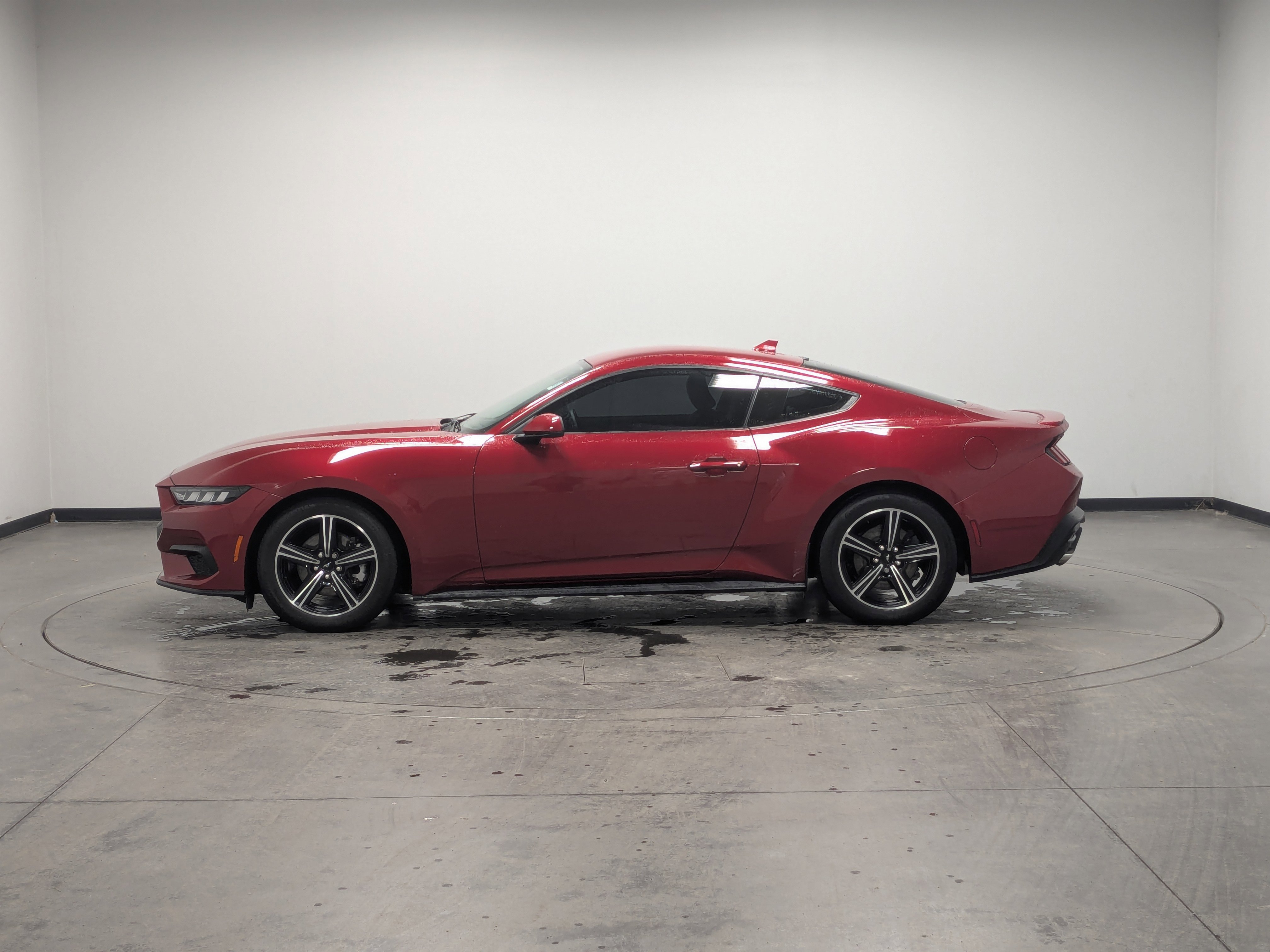 Used 2024 Ford Mustang Premium image 5