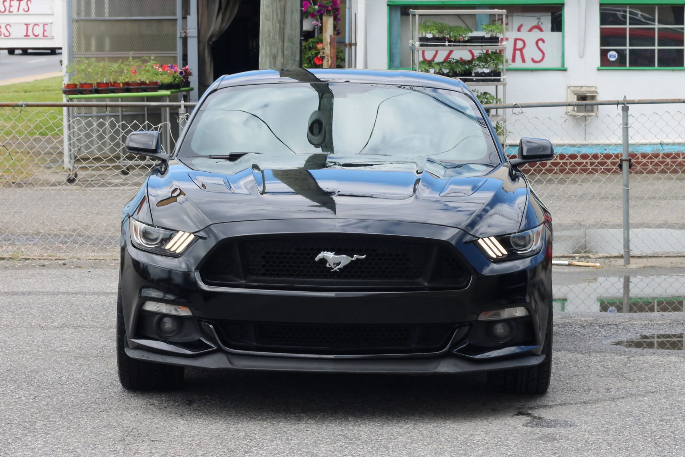 Used 2017 Ford Mustang GT w/ GT Performance Package RWD image 2