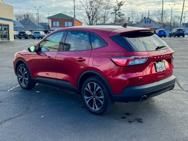 Used 2022 Ford Escape SE w/ SE Sport Appearance Package image 6
