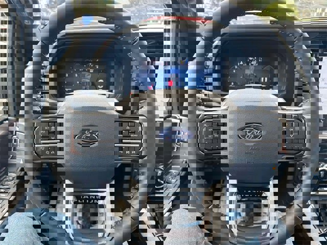 New 2025 Ford F150 Platinum w/ Equipment Group 702A High image 14