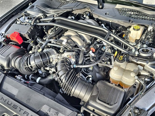 Used 2024 Ford Mustang GT Premium image 16