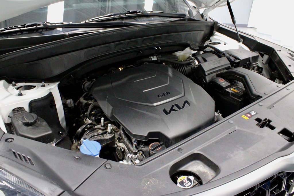 Used 2023 Kia Telluride SX Prestige X-Line image 19