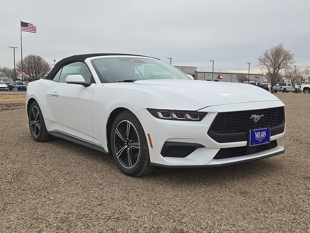 Used 2024 Ford Mustang Premium image 7