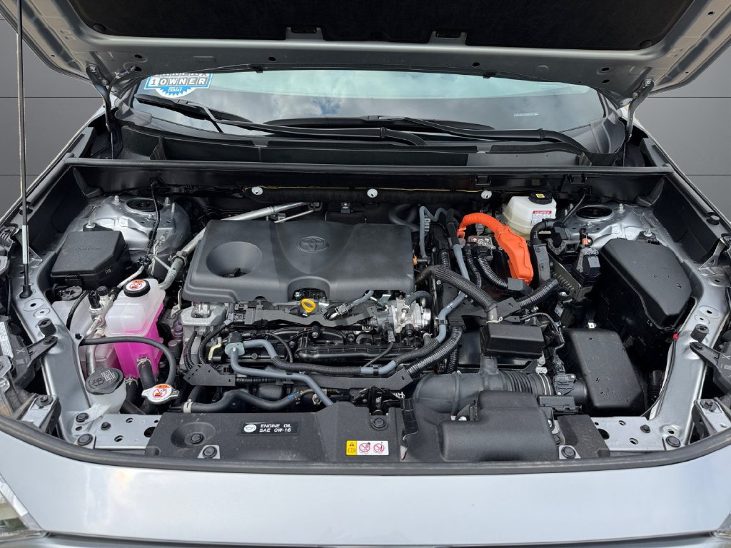 Certified 2025 Toyota RAV4 LE AWD/4WD image 20