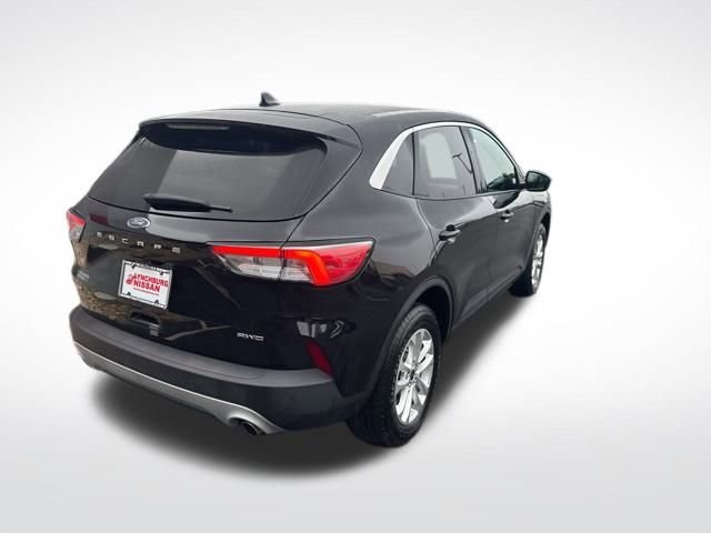 Used 2022 Ford Escape SE w/ Cold Weather Package image 5