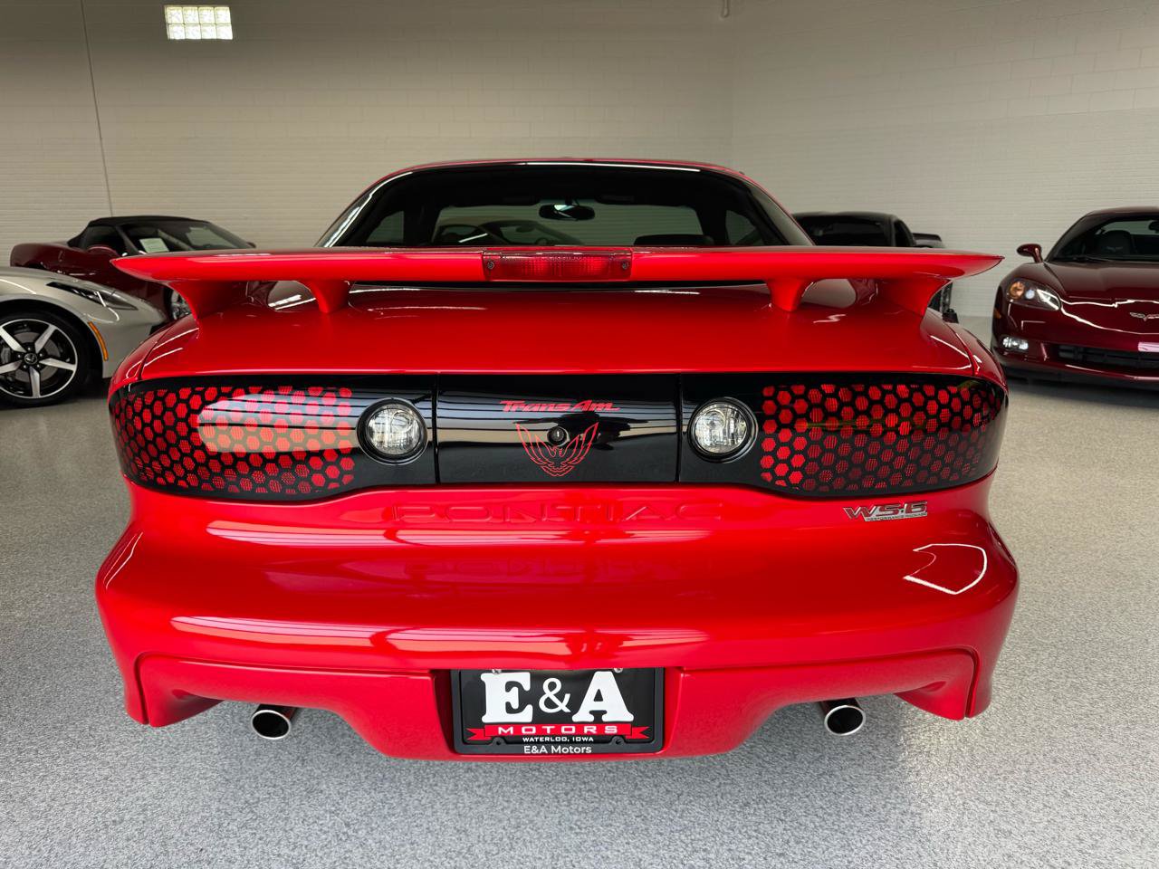 Used 2002 Pontiac Firebird Trans Am RWD image 11