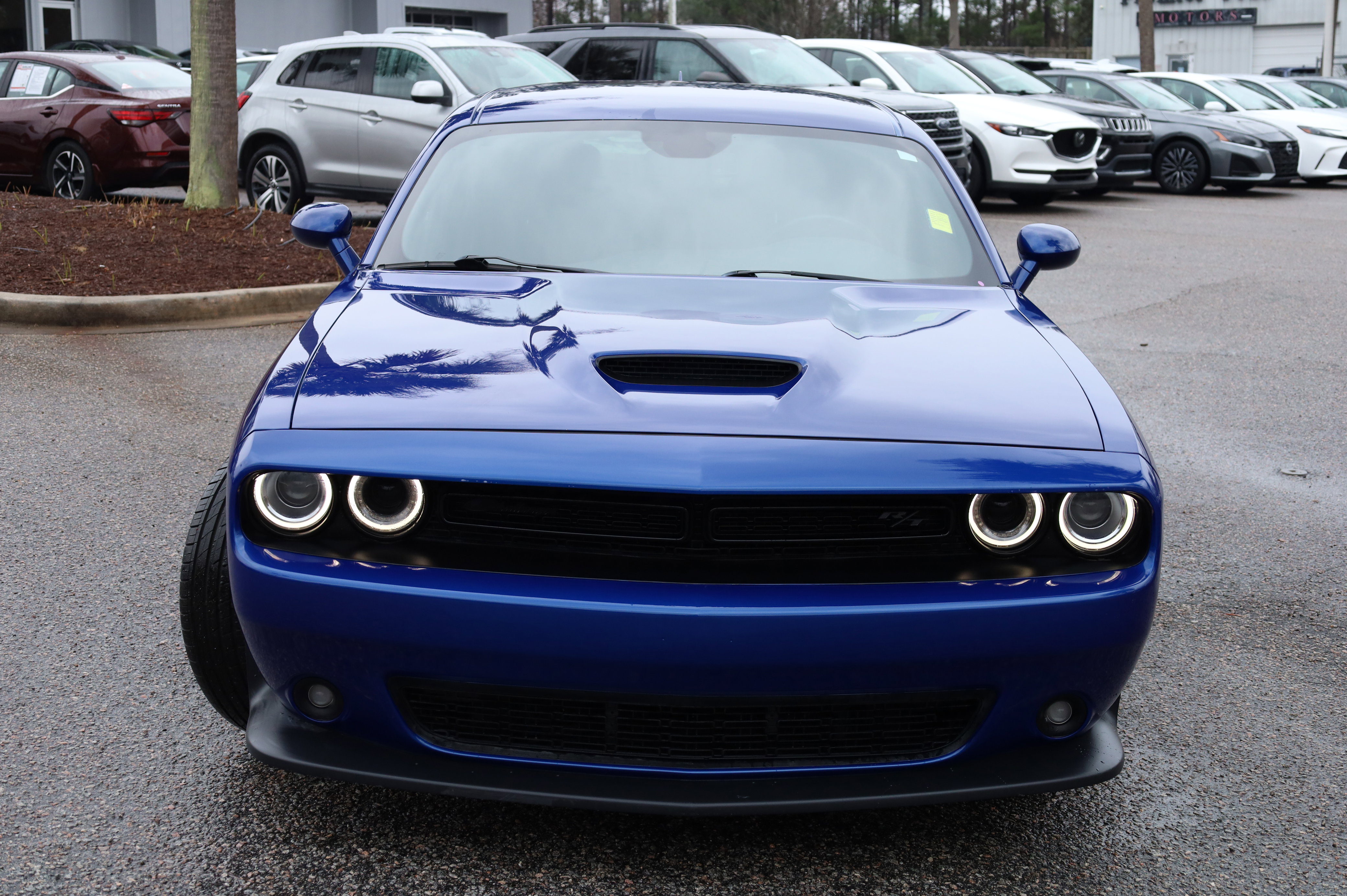 Used 2021 Dodge Challenger R/T w/ Blacktop Package image 2