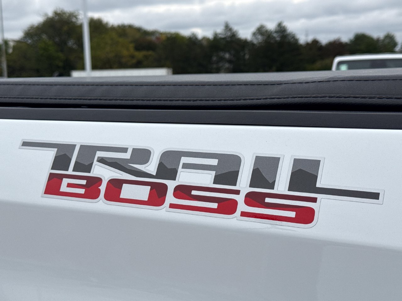 Used 2021 Chevrolet Silverado 1500 LT Trail Boss w/ Convenience Package II AWD/4WD image 10