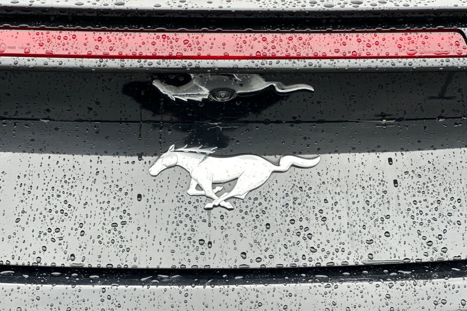 Used 2024 Ford Mustang Premium RWD image 47