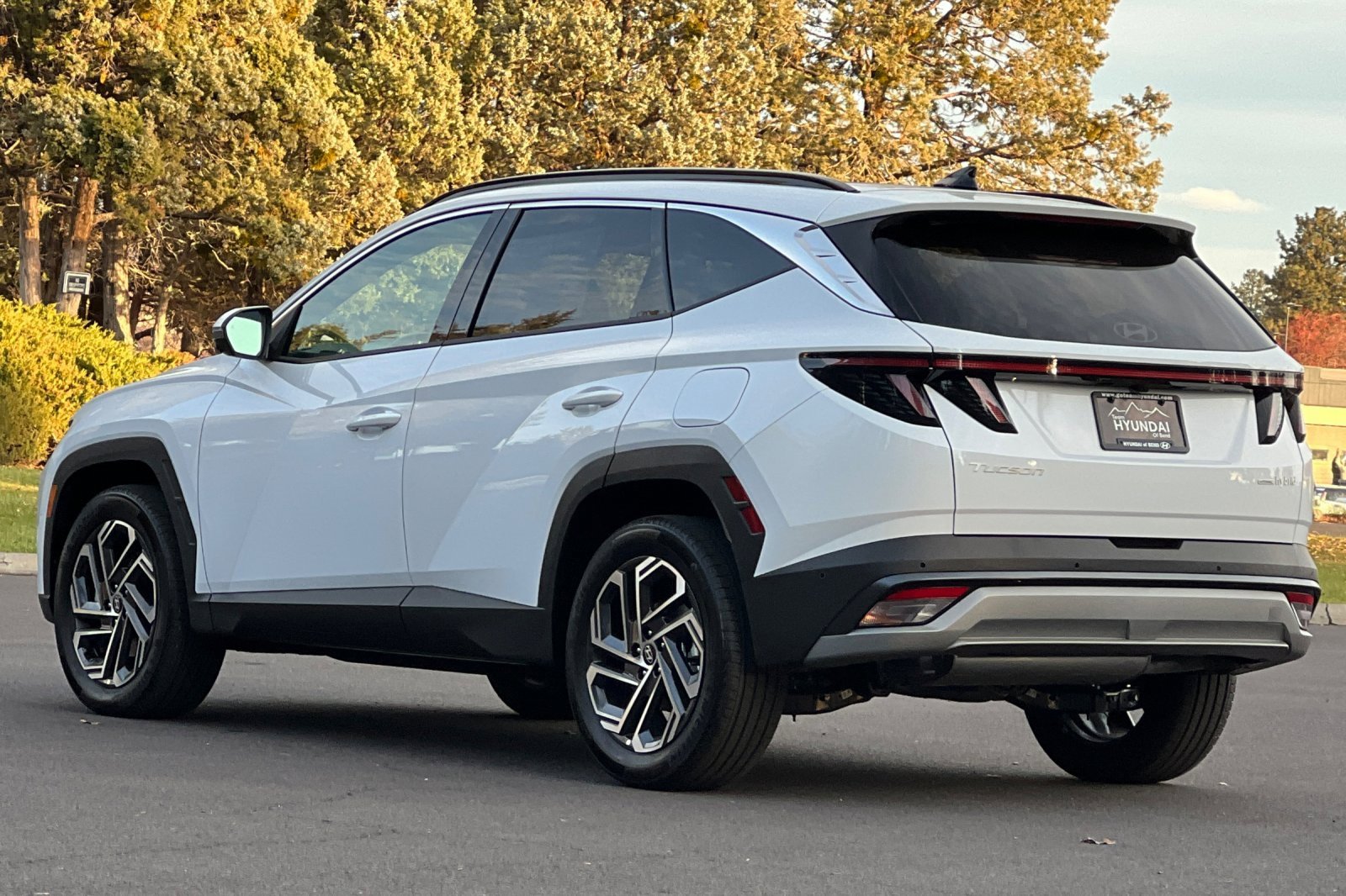 Certified 2025 Hyundai Tucson Limited image 6