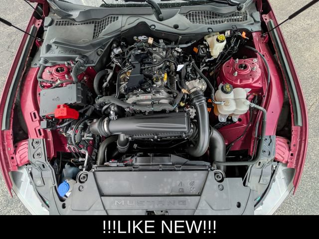 Used 2025 Ford Mustang Premium w/ Mustang Nite Pony Package RWD image 22