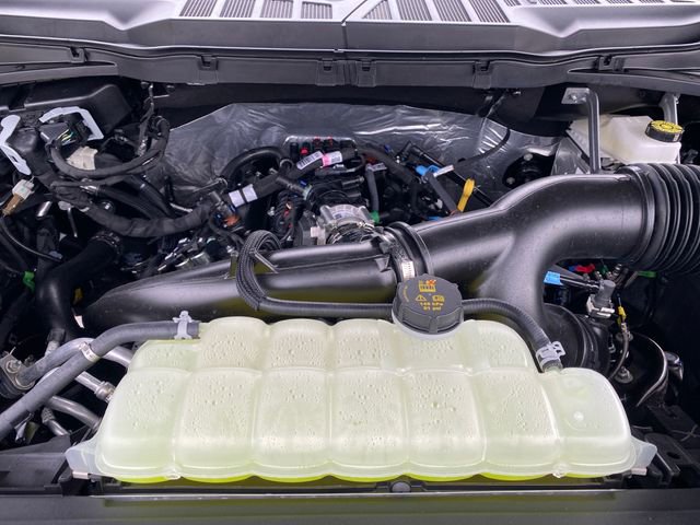 New 2025 Ford F150 XLT image 12