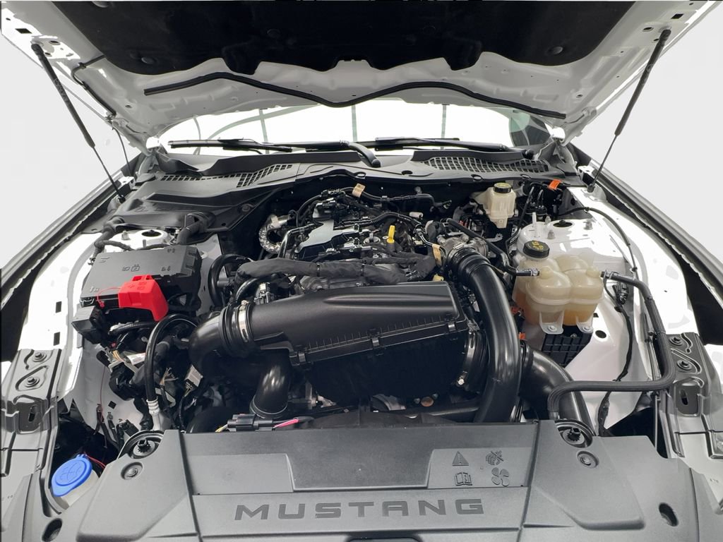 Used 2024 Ford Mustang EcoBoost image 11