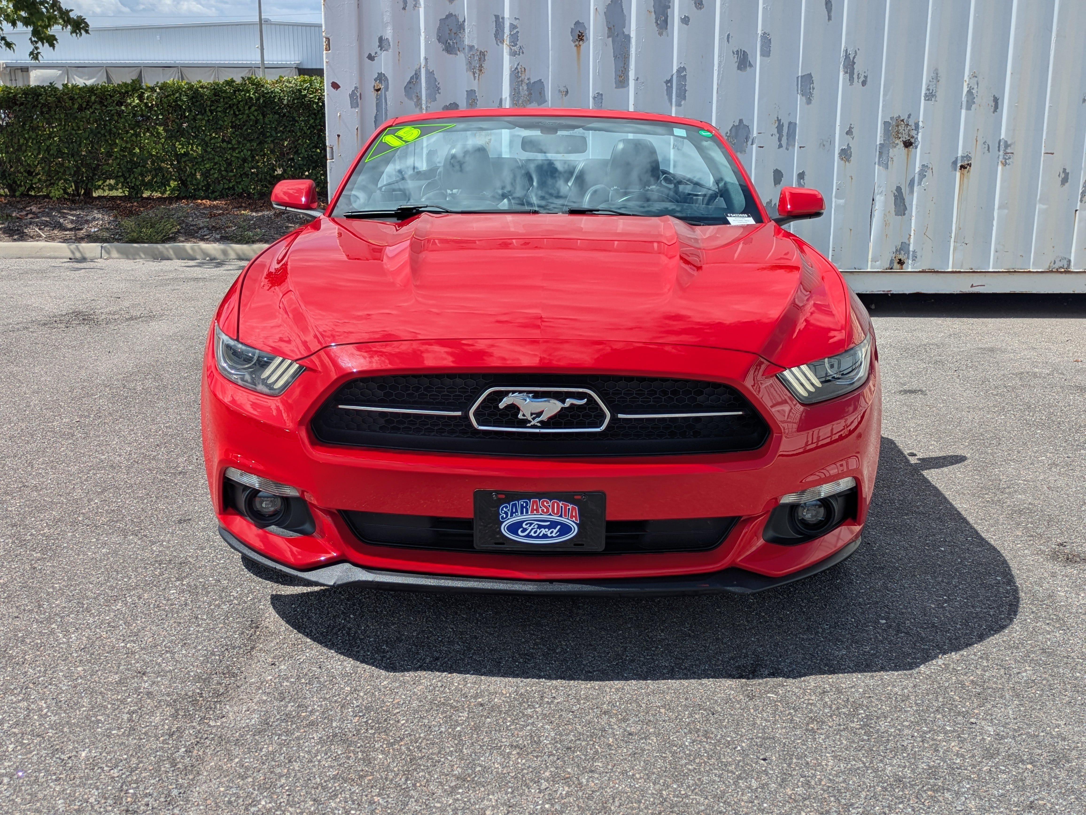 Used 2015 Ford Mustang Premium w/ 50 Years Appearance Package RWD image 8