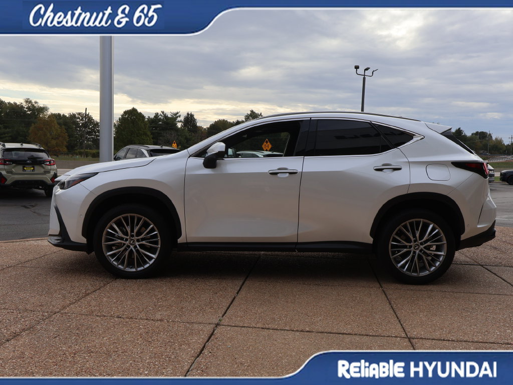 Used 2024 Lexus NX 350h AWD w/ Vision Package image 3
