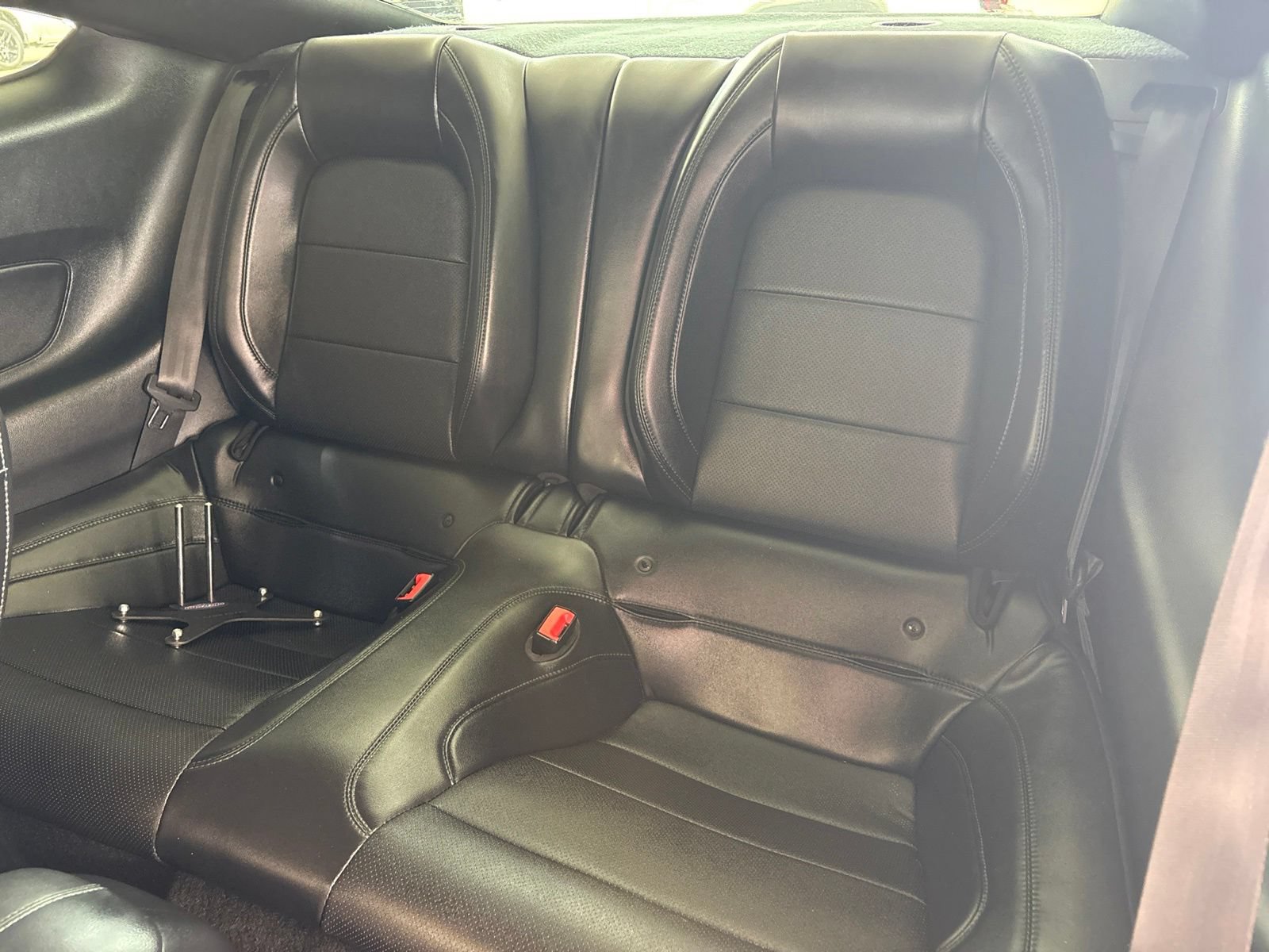 Used 2019 Ford Mustang Bullitt w/ Bullitt Electronics Package RWD image 16