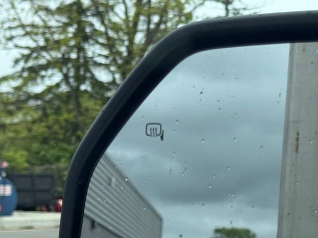 New 2025 Ford F550 4x4 Regular Cab Super Duty image 32