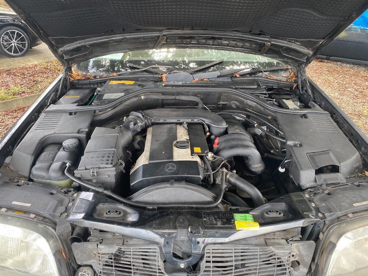 Used 1997 Mercedes-Benz S 320 image 6