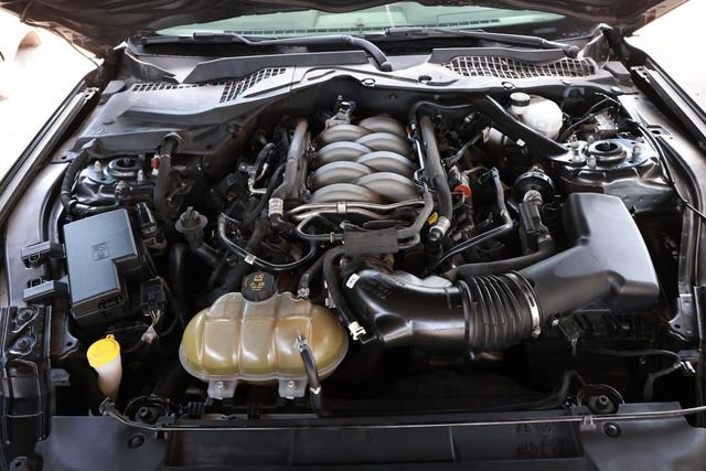 Used 2019 Ford Mustang GT Premium RWD image 50