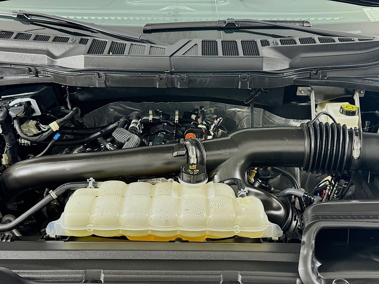 Used 2025 Ford F150 XLT w/ Equipment Group 301A Standard image 41