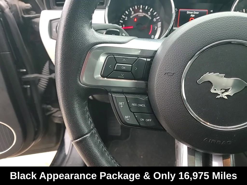 Used 2017 Ford Mustang GT Premium w/ Black Accent Package image 16