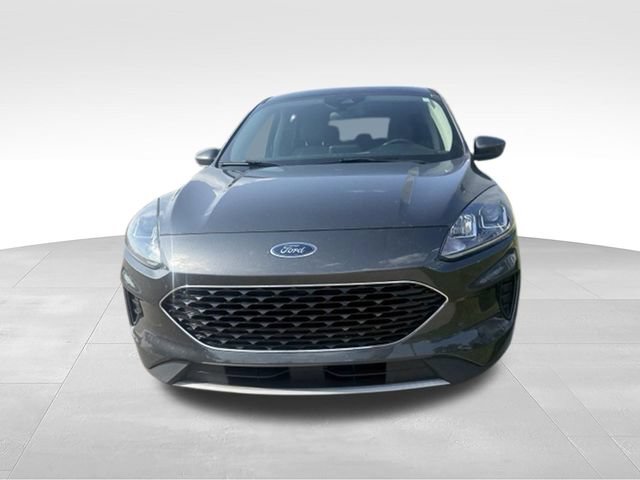Used 2020 Ford Escape SE FWD image 2